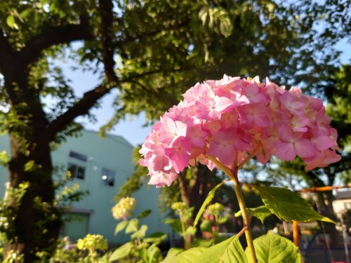 影音娱乐无一不精 索尼Xperia 1 II娱乐功能全体验