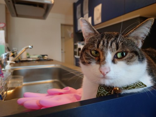 影音娱乐无一不精 索尼Xperia 1 II娱乐功能全体验