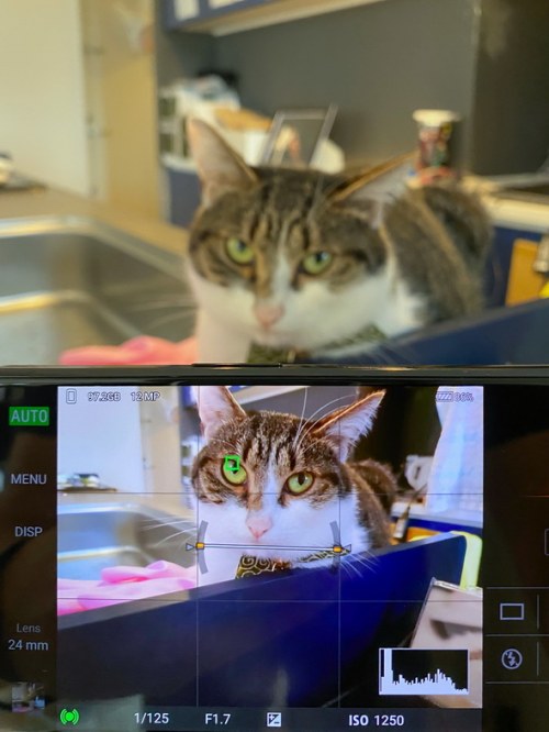 影音娱乐无一不精 索尼Xperia 1 II娱乐功能全体验