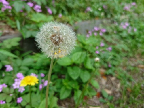 影音娱乐无一不精 索尼Xperia 1 II娱乐功能全体验