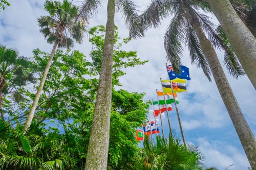 奇瑞新能源大蚂蚁担任博鳌亚洲论坛接待服务