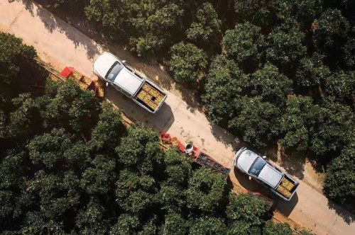 务实到底 “销量冠军”风骏的底色是民生