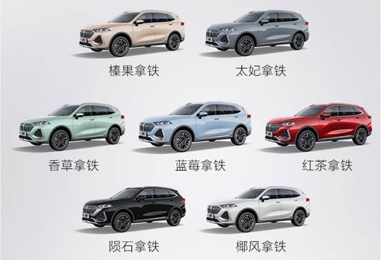 兩種動(dòng)力版本、四大同級(jí)最強(qiáng)智能技術(shù)，魏牌拿鐵"值得期待"
