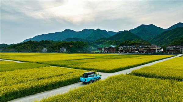 田園風(fēng)光?當(dāng)吉利皮卡與油菜花海邂逅