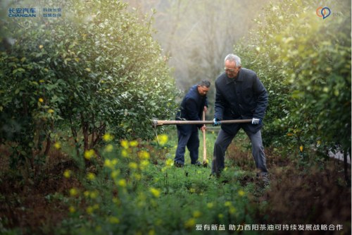 树立乡村振兴新样本！长安汽车帮扶酉阳跨界新公益再进阶