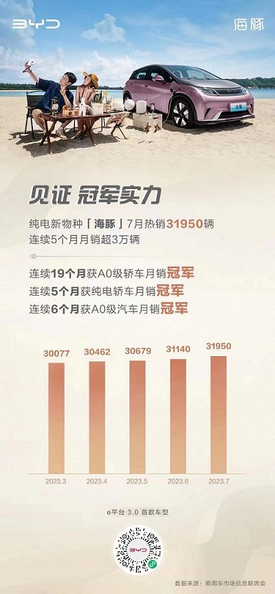 比亚迪海豚 连续19个月斩获A0级轿车冠军