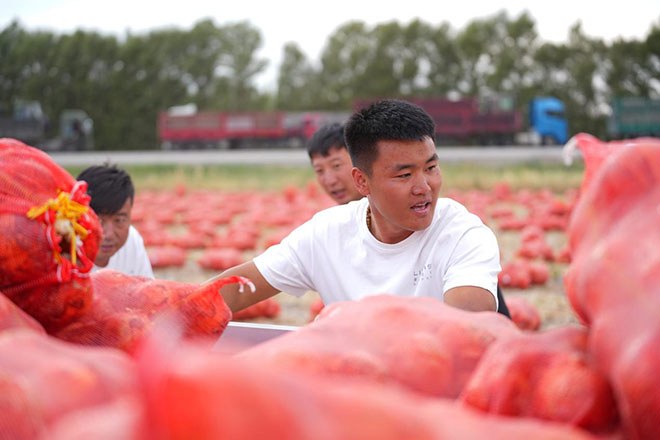 满载收获 传递幸福 菱势汽车黄金卡助力西北丰收