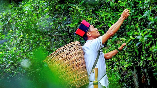 长城炮全性能家族 “钢铁马帮”探秘茶马古道