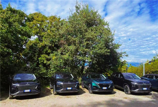 全球家庭出行主力军 东风风神出海都灵车展深化海外布局