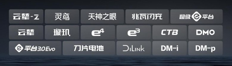 比亚迪30.55%复购率领跑行业，实现高质量增长