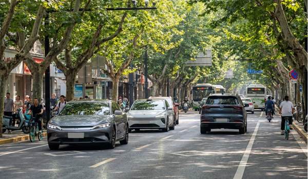 骆驼绿标AGM系列