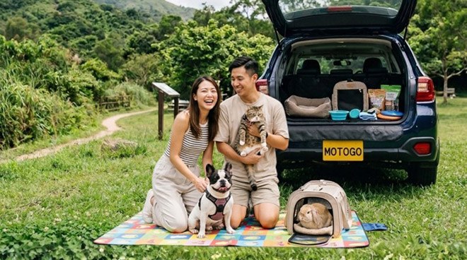 2026 周末出走计划” 精选宠物友善驾车路线 与毛孩共享完美旅程